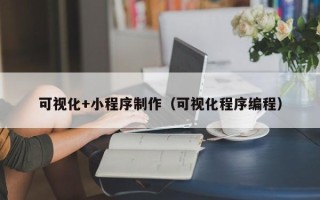 黔东可视化+小程序制作（可视化程序编程）